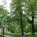 ���� Sergei, �����������, 67 ��� - ��������� 27 ������ 2015 � ������ ������������
