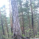 ���� �������, ���������, 54 ���� - ��������� 23 ��� 2015 � ������ ���������