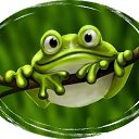 ���� �, ������� ����� - ��������� 25 ���� 2015 � ������ ������ ��������