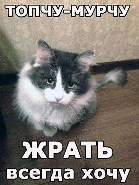    :-) - 6  2015  21:40