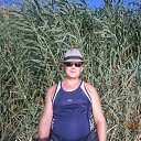 ���� ������, ����������, 44 ���� - ��������� 6 ������� 2015 � ������ ���� ����������