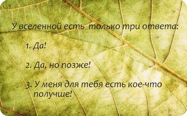  | Yoga - 23  2015  23:52