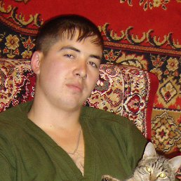 , 37, 