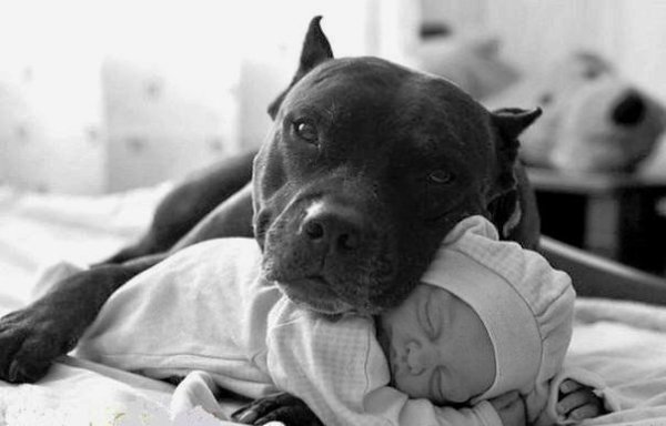 Любить — значит давать кому-то возможность уничтожить себя, но верить, что он ею не воспользуется.