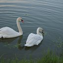  , , 49  -  13  2015   :))