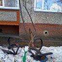 ���� �����, ������, 38 ��� - ��������� 30 ������ 2015 � ������ �߻