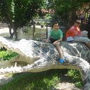    -  ,  -  30  2015   .  2015.   .  3-.