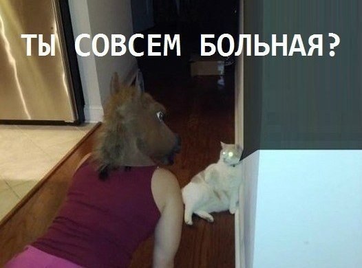 ������������ ���� - 3 ���� 2015 � 22:12