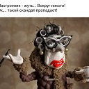���� ������, ����� - ��������� 5 ��� 2015 � ������ ������ ��������