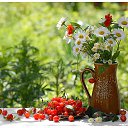 ���� ���k�, ����������, 63 ���� - ��������� 3 ������� 2015 � ������ ����������