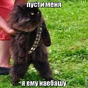 ���� Aleks, ����� ������� - ��������� 23 ������� 2015 � ������ ������ ��������