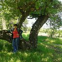 ���� ����, ����������, 64 ���� - ��������� 19 ��� 2015 � ������ ���������