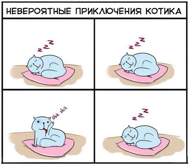  -  - 11  2015  08:23