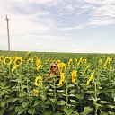 ���� �����, ������ - ��������� 7 ���� 2015 � ������ ���� ����������