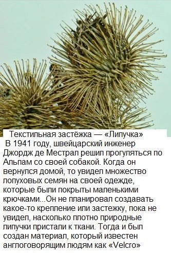   ,   . - 7