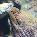 ���� ������, ������, 45 ��� - ��������� 12 ������� 2015 � ������ ���� ����������