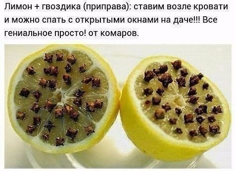 ������� - 23 ������� 2015 � 01:09