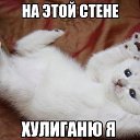 ���� ���, ������� - ��������� 18 ������� 2015 � ������ ������ ��������
