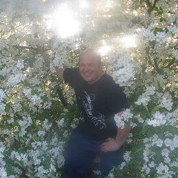 ��������, ��������, 47 ���