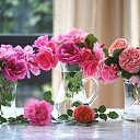 ���� �����, ������ - ��������� 30 ���� 2015 � ������ ���� ����������