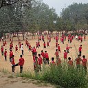  Kookarra, , 26  -  6  2015    