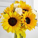 ���� ������, ������, 62 ���� - ��������� 6 ������� 2015 � ������ ���� ����������