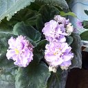 ���� �������, ������� - ��������� 22 ���� 2015 � ������ �������� �������.�