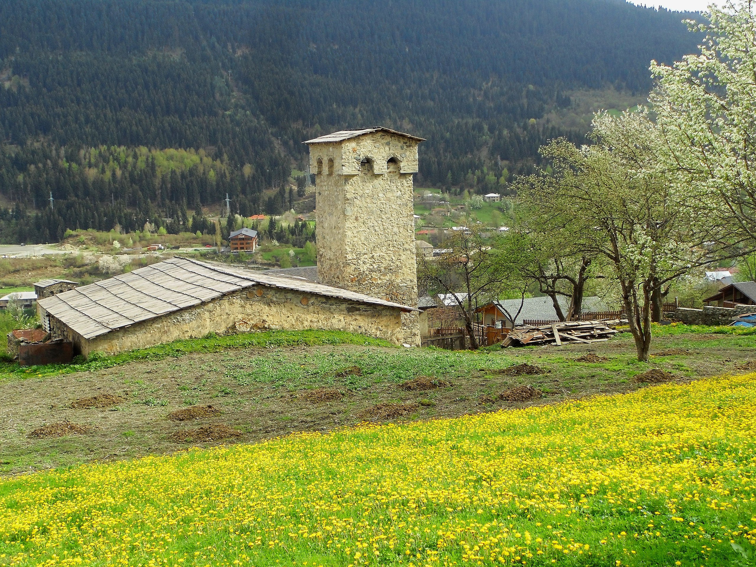 Mestia city (Svaneti, Georgia) - 15