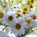 ���� �����, ����, 82 ���� - ��������� 6 ������� 2015 � ������ �����ۻ