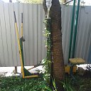 13 ���, �������� ������ �����... ������� ������))) �� ������� ���������� ������: "������ ���������? ��������)))"�