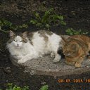 ���� ����, �����-��������� - ��������� 24 ��� 2015 � ������ ���������� ����!�