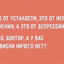 ���� ����, �����, 49 ��� - ��������� 11 ������� 2015 � ������ ������ ��������