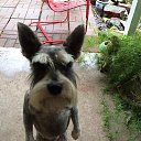 ���� �����, �����, 48 ��� - ��������� 17 ������� 2015 � ������ �9�