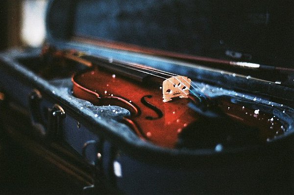 В Павловском дворце весь май будут давать бесплатные концерты.В рамках музыкального ... - 3