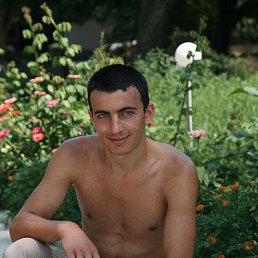 Vasile, �����������, 34 ����