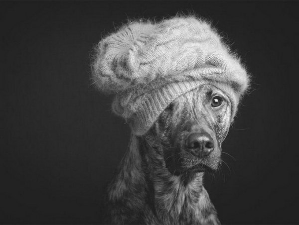 -   (Elke Vogelsang)        ... - 10