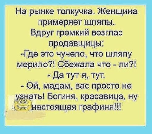  - 13  2015  11:31