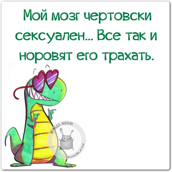  - 15  2015  06:44