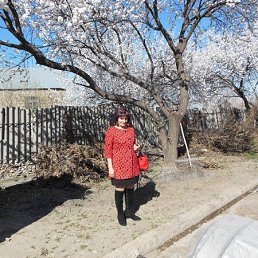 �����, ����, 62 ����