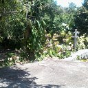    -  ,  -  31  2015   .  2015.  .  6-.