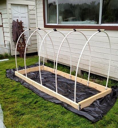 ������� ��� �����������