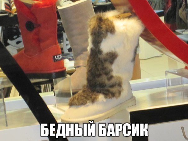  - 26  2015  16:53