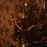 ������, 49 ���, ����������