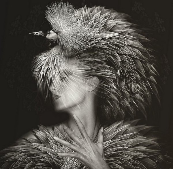  Lee Howell - 3