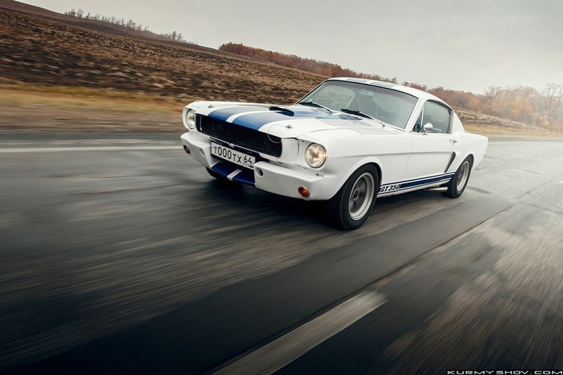 Ford Mustang Shelby GT350 - 3