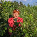 ���� ��������, ����, 58 ��� - ��������� 11 ��� 2015 � ������ ���� ����������