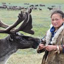 ���� �������, ���������, 49 ��� - ��������� 8 ��� 2015 � ������ ���� ����������