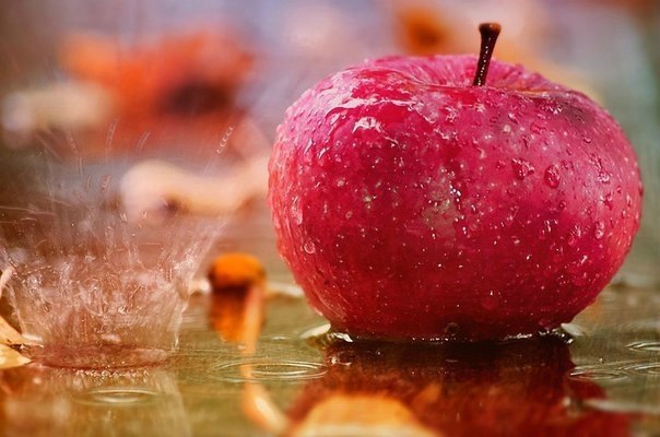 11    ! 1.       .    ...