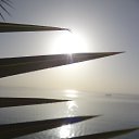 ���� �������, ������, 49 ��� - ��������� 11 ���� 2015 � ������ �����, ������, ����