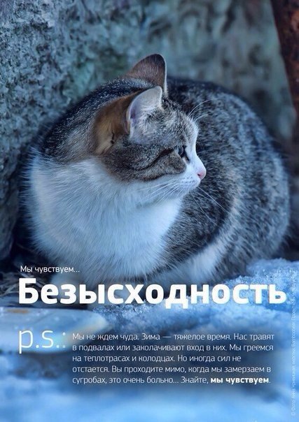   " " - 3